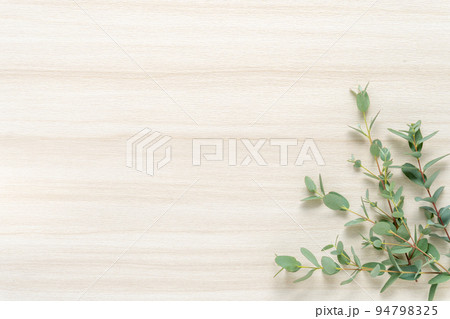 明るい木目とユーカリの背景 明るい木目とユーカリの背景 94798325