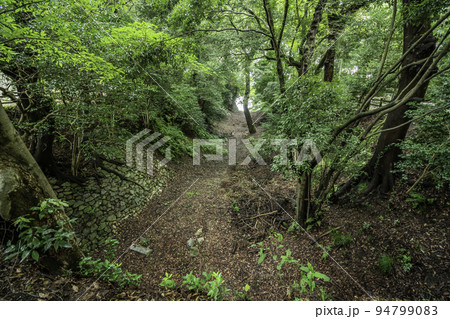 豊橋公園　吉田城　内堀　愛知県豊橋市 94799083