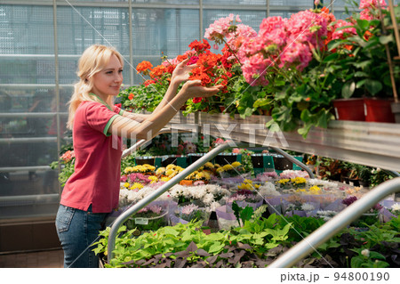 Woman shopping for colorful flowers in garden center 94800190