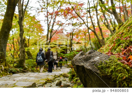 常寂光寺-カエル石と茅葺き屋根の仁王門_秋の京都と百人一首の聖地 94800803