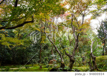 嵐山の紅葉の名所「厭離庵」の世界【秋の京都の穴場観光】 94800934