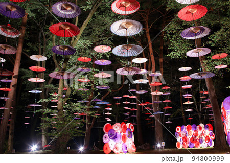 日光市　鬼怒川温泉　月あかり花回廊 94800999