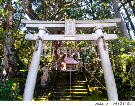 新潟県上越市虫川の大杉が鎮座する白山神社 94801436