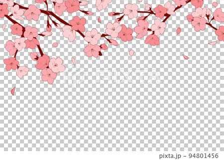 Frame material_Sakura 94801456