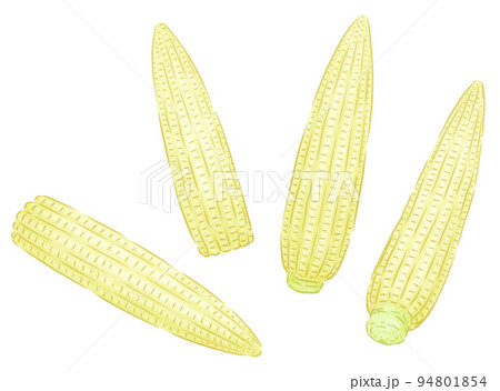 ヤングコーン 94801854