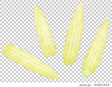 ヤングコーン 94801854