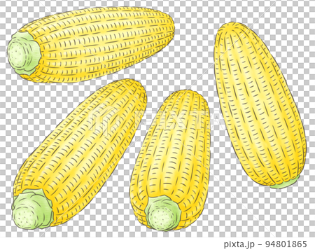 玉米黃派(1線色) 94801865