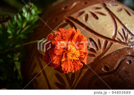 Colorful single orange flower on ornamental background indoors 94803689