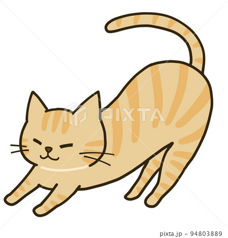 伸びをするシンプルな茶トラ猫 94803889