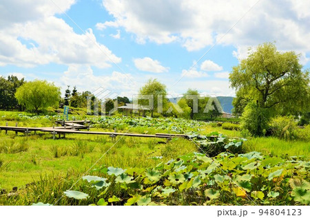 備中高松城跡 94804123