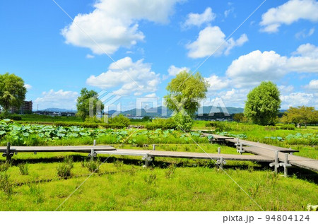 備中高松城跡 94804124