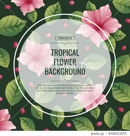 Tropical background with pink hibiscus flowers on a dark background. Poster, placard, banner, flyer, postcard with tropical plants. summer flower illustration. 94805005