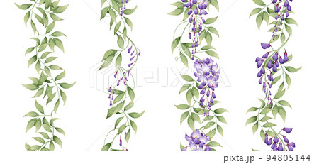 Set of vertical seamless borders with purple wisteria and green leaves. Asian plants. Botanical flower illustration for wedding design, wallpaper, advertising. Set of vertical seamless borders with purple wisteria and green leaves. Asian plants. Botanical flower illustration for wedding design, wallpaper, advertising. 94805144