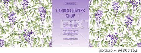 Banner with purple wisteria. Shop for flowers and garden plants. Poster,template, cover, web banner for product advertising. 94805162