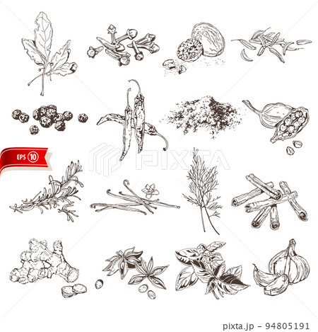 Hand drawn organic herbs and spices isolated on white background. Vector sketch cooking set for poster, web design, banner, card, flyer, icon, logo or badge. Hand drawn organic herbs and spices isolated on white background. Vector sketch cooking set for poster, web design, banner, card, flyer, icon, logo or badge. 94805191
