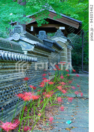 大智寺の彼岸花 94805462