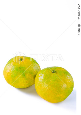早生みかん 早生みかん 94807352