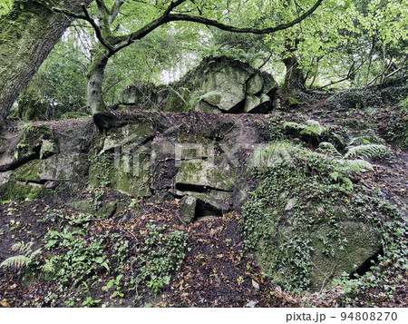 Kennall Vale Nature Reserve, Ponsanooth, UK 94808270