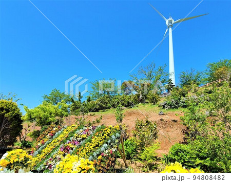 東シナ海に面する長島町の風車　（島内の風力・ソーラー発電のハイブリッドにより電力の完全自給） 94808482