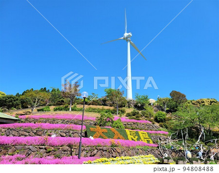 東シナ海に面する長島町の風車　（島内の風力・ソーラー発電のハイブリッドにより電力の完全自給） 94808488