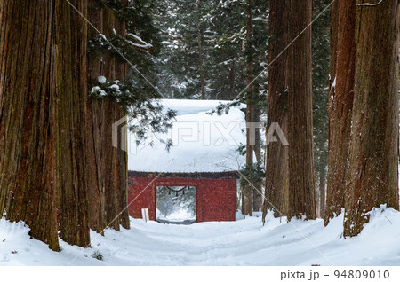 長野県 雪の戸隠神社 ~奥社参道の杉並木と随神門~ 長野県 雪の戸隠神社 ~奥社参道の杉並木と随神門~ 94809010