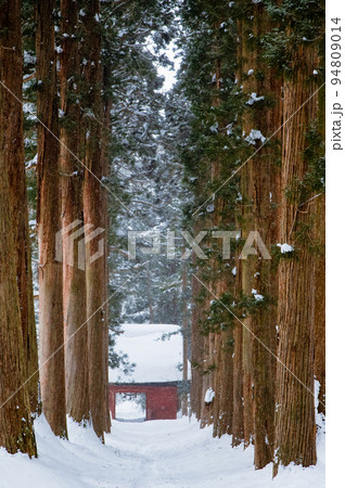 長野県 雪の戸隠神社　～奥社参道の杉並木と随神門～ 94809014