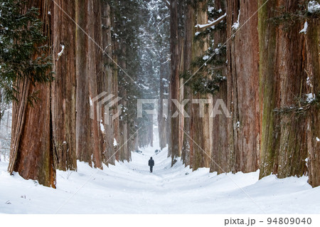 長野県 雪の戸隠神社 ~奥社参道の杉並木~ 長野県 雪の戸隠神社 ~奥社参道の杉並木~ 94809040