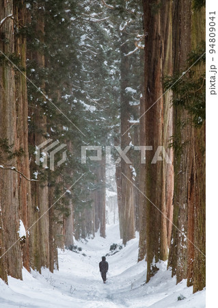 長野県 雪の戸隠神社 ~奥社参道の杉並木~ 長野県 雪の戸隠神社 ~奥社参道の杉並木~ 94809041