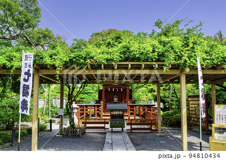 鎌倉 鶴岡八幡宮 政子石拝観の旗上弁財天社 鎌倉 鶴岡八幡宮 政子石拝観の旗上弁財天社 94810434