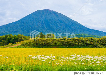 円錐形の形が富士山に類似し蝦夷富士とも称される活火山の羊蹄山｜北海道 94810773