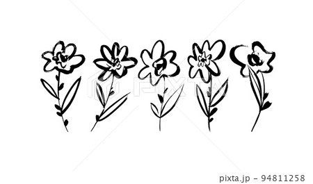 Set of hand drawn vector flowers stems. Set of hand drawn vector flowers stems. 94811258