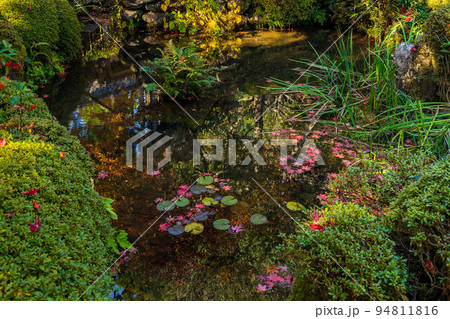 京都大原の秋 紅葉の寂光院 汀の池 京都大原の秋 紅葉の寂光院 汀の池 94811816