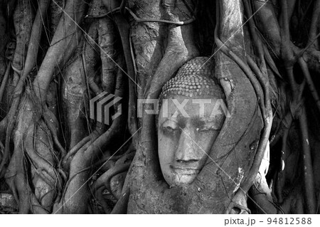 Thailand, Ayutthaya. Old tree Buddha stone sculpture. Wisdom and pray Thailand, Ayutthaya. Old tree Buddha stone sculpture. Wisdom and pray 94812588