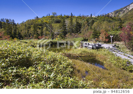 栂池自然園　モウセン池と紅葉（長野県小谷村） 94812656