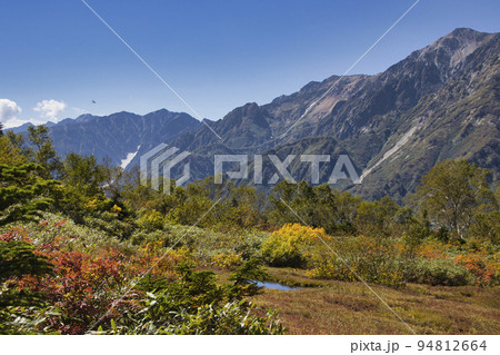 栂池自然園 展望湿原の紅葉と白馬連山・唐松沢(長野県小谷村) 栂池自然園 展望湿原の紅葉と白馬連山・唐松沢(長野県小谷村) 94812664