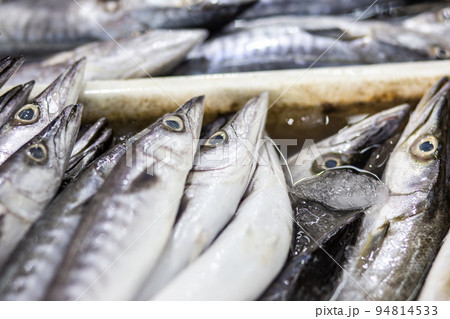 Fresh dea fish sell in fishery market 94814533