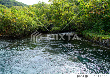森の清流合流点 岩股川上流端 獅子ヶ鼻湿原 秋田県 森の清流合流点 岩股川上流端 獅子ヶ鼻湿原 秋田県 94814662