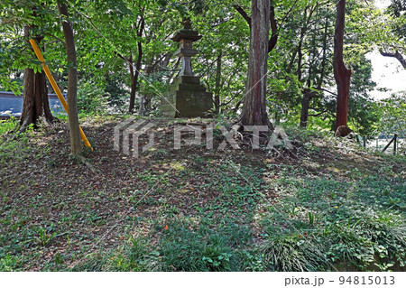 仙波氷川神社（川越） 94815013