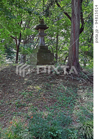 仙波氷川神社（川越） 94815014