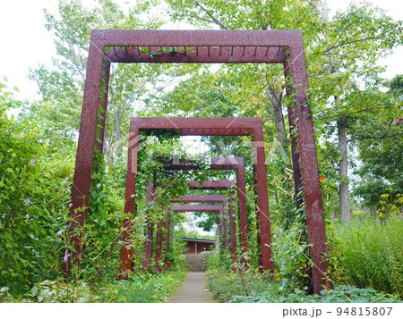 北海道の風景 大雪森のガーデン イングリッシュガーデン 北海道の風景 大雪森のガーデン イングリッシュガーデン 94815807