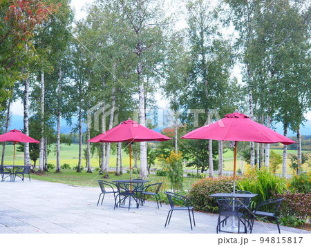 北海道の風景 大雪森のガーデンの白樺とテラス席 北海道の風景 大雪森のガーデンの白樺とテラス席 94815817