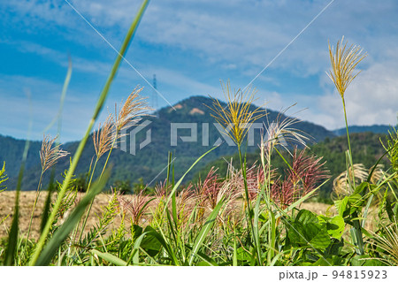 鳴鹿大堰・堤防 鳴鹿大堰・堤防 94815923