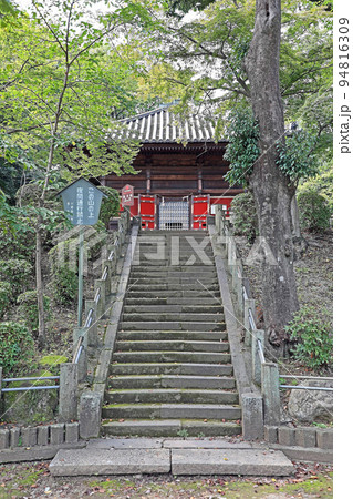 川越大師喜多院(川越) 川越大師喜多院(川越) 94816309