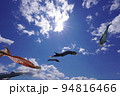 こいのぼり 94816466