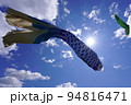 こいのぼり 94816471