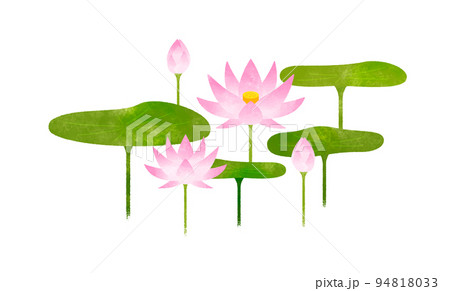 ハス ハス 94818033