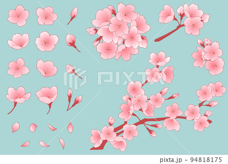 桜の花のイラストセット 桜の花のイラストセット 94818175