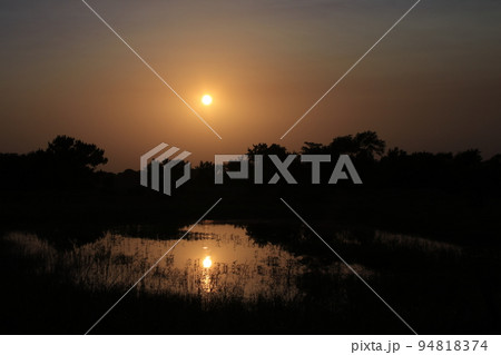 Sunset with water and trees out in the country 94818374