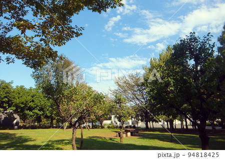 9月の横山公園 9月の横山公園 94818425