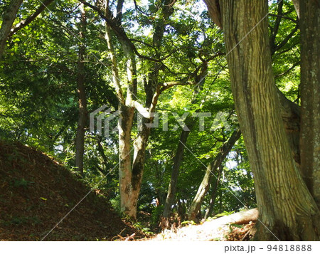 鳥取城跡 鳥取城跡 94818888